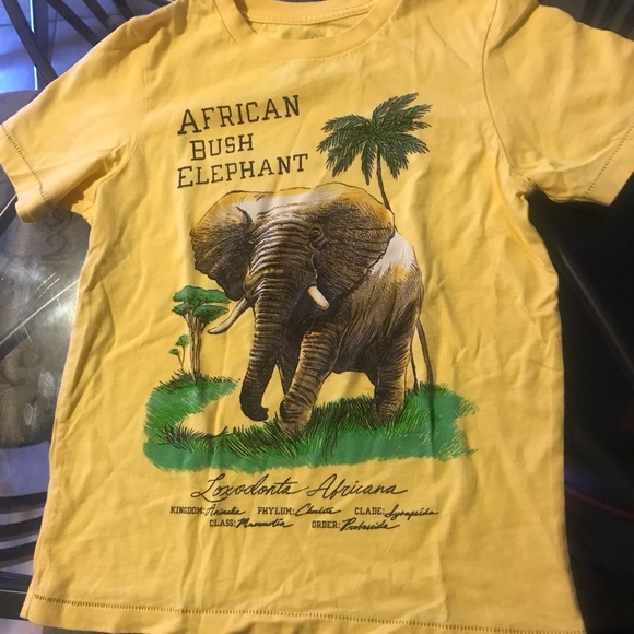 Peek Other - Peek Yellow African Bush Elephant Graphic Tee for Kids NWOT